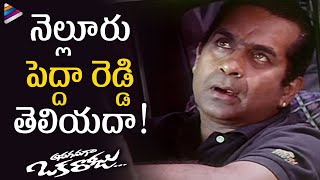 Brahmanandam Ultimate Comedy Scene  | Anaganaga Oka Roju Movie Scenes | JD Chakrvarty | Urmila | RGV
