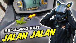 HILANG SELAMA 2 HARI TERNYATA DIA MASIH HIDUP