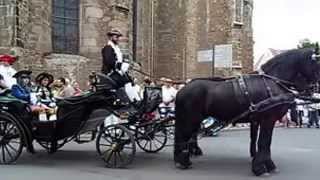 Festumzug zum 45.Schloßfest in Merseburg 2014