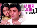 Aa Meri Jaan | Full Song | Chandni | Rishi Kapoor, Sridevi, Lata Mangeshkar, Shiv-Hari, Anand Bakshi