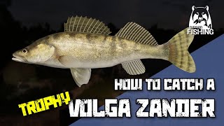 Russian Fishing 4 - Sura River - How to catch a Volga Zander