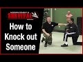 How To Knock Someone Out With One Punch To The Head