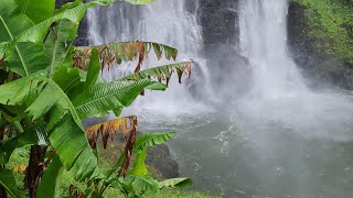 Laos - Pakse - Tad Yuang Waterfall