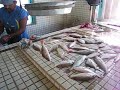 Punta Gorda fish market