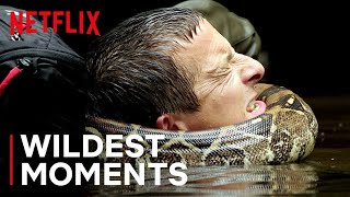 Bear’s WILDest Moments 🤯 Animals on the Loose: A You vs Wild Movie | Netflix After School