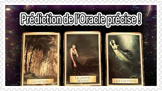 🌟PRÉDICTIONS DE L’ORACLE SUR VOTRE EVOLUTION✨tirage à choix intemporel