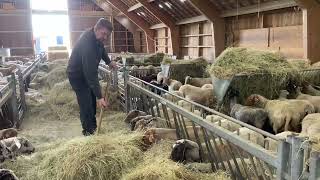 20240330 Haaksbergen Oproep Lente in de kooi