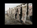 philippines pamilacan island residents hunt whalesharks