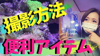 アクアリウム海水水槽の撮影機材、便利なレンズやアイテムでより美しく‼️my marine aquarium MOAMOAちゃんねる