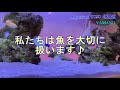 aquarium tojo 北海道　yamano　レンタル　アクアリウム　北海道