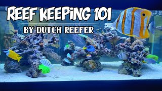 Reef Keeping 101 | Copperband Butterflyfish Care Guide