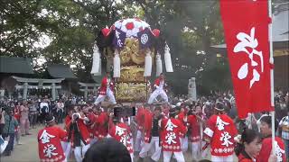 新居浜太鼓祭り2023　一宮神社　金栄太鼓台