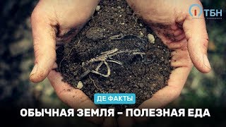 Обычная земля – полезная еда. «Де факты от де Юры»