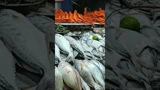 Puri fish market #fish #fishfry #prawns #beachmarkets #swargadwar