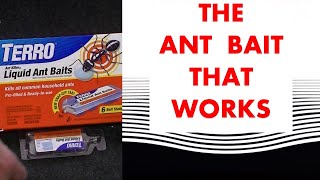 Effective Ant Bait, Borax ant killer