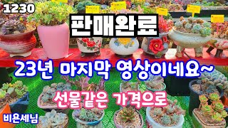 23년12월30일(판매완료)#비욘세님 #23년 마지막영상 ! 선물같은 가격으로 만날께요 #매직쨈골드철화 애연금 에그리원 블루엘프 집시 화재 4종세트 5종세트