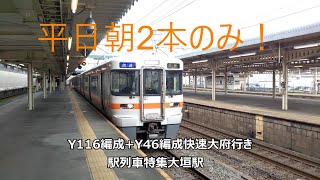 平日朝2本のみ！Y116編成+Y46編成快速大府行き　駅列車特集　JR東海道本線　大垣駅1番線　その4