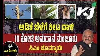 basavaraj bommaiಅಡಿಕೆ ಬೆಳೆಗೆ ಎಲೆಚುಕ್ಕಿ ರೋಗ: ಕ್ರಿಮಿನಾಶಕ ಸಿಂಪಡಣೆಗೆ 10 ಕೋಟಿ ಅನುದಾನ; ಸಿ.ಎಂ ಬೊಮ್ಮಾಯಿ