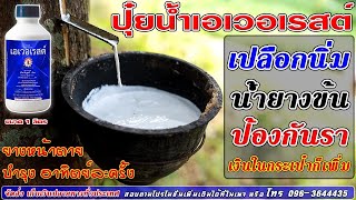 💢จบปัญหา🗯 ยางเปลือกแข็ง 💭น้ำยางไม่ไหล 💭น้ำยางไหลออกหัวท้าย 💢ในขวดเดียว💢