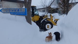 令和4年2月　石狩市　除雪　その２