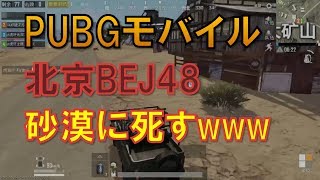 【PUBGモバイル】北京BEJ48サンサン（蘇杉杉）砂漠に死すwww 20180830