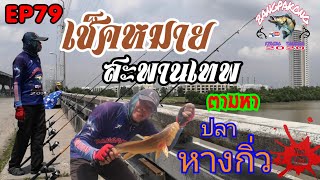 EP79 เช็คหมายสะพานเทพ​ แม่น้ำบางปะกง