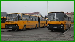 Ikarus buszok Miskolcon - 2020 Október (1. rész)