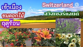 ดอกไม้สวย ฤดูร้อน ตกแต่งตามถานที่ต่างๆในเมือง สวีสเซอร์แลนด์ Switzerland EP.92