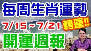 2019生肖運勢週報｜07/15-07/21｜金玲老師（有字幕）