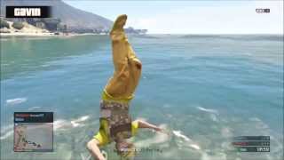 Gavin Free: Expert Distraction