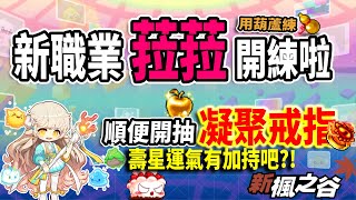 【新楓之谷】今晚來玩新職業「菈菈」！祝我自己生日快樂🎂晚點開抽黃金蘋果🔥和大來賓挑戰凝聚戒指！ @營養健身葛格Peeta  ｜MapleStory｜메이플스토리｜《Leo里歐》