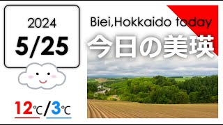 今日のびえい！北海道-美瑛町の風景を毎日発信中｜2024.5.25.