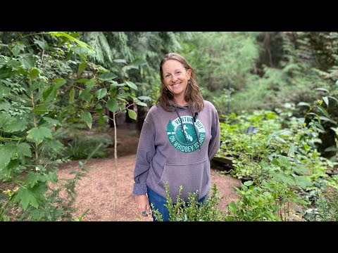 What vegetables are native to Washington state?