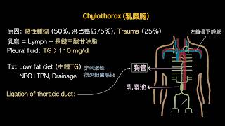 胸腔內科5 肋膜積液 (Pleural effusion)