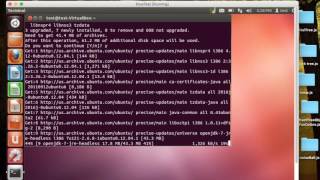 Installing Java in Terminal (Linux)
