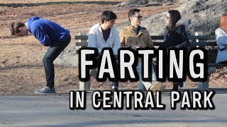 FARTING IN CENTRAL PARK
