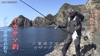 グレ釣り　磯釣り　グレ全遊動沈め釣り　イカサマ釣り　産卵期のグレ釣り