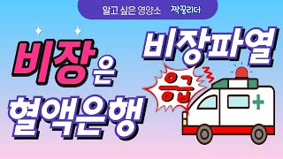 비장이 안좋으면 나타나는 증상(비장비대증,비장출혈,비장절제,좋은음식)