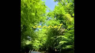 Reynmen - Cennet (spotify)