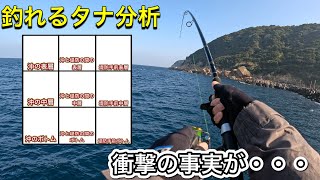 衝撃！よく釣れるタナは〇〇でした。【ショアジギングで釣果を上げる為の要素解説】