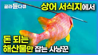 다른 물고기 보다 비싸다! 상어 서식지에서 1kg에 7,000원 문어 잡는 사냥꾼┃낚시 보다 빠른 물고기 잡이┃돈 되는 해산물만 잡는 인도네시아 문어 잡이┃인간과 바다┃#골라듄다큐