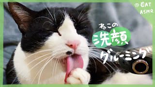 👅ASMR｜猫のグルーミング［洗顔編］#86