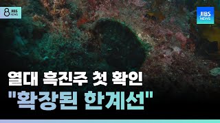 열대 흑진주 첫 확인...\