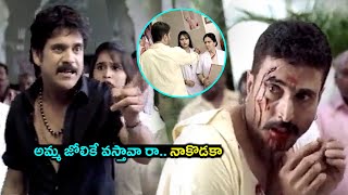 Akkineni Nagarjuna Gives A Powerful Action Warning To Devendra Powerful Action Warning Scene