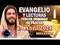 EVANGELIO DEL DÍA DOMINGO 14 DE ABRIL 2024. LUCAS 24, 35-48 / REFLEXIÓN EVANGELIO 14 ABRIL