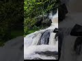 areekkal waterfalls l after rain scene l chalappally l kerala tourism