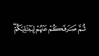 منكم من يريد الدنيا | إدريس أبكر | كروما آيات قرآنية