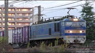 EF510-511牽引高速貨物【4K】信越本線上り3098ﾚ