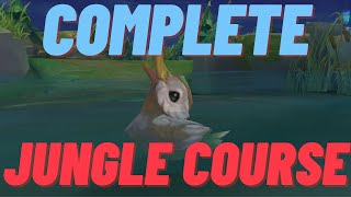 Complete Jungle Guide - All Fundamentals Explained - League of Legends Course and Coaching