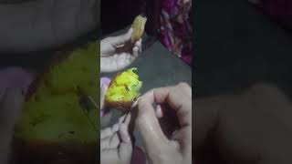 এয়া কি ওলাইছে 🤮#pokora#videoviral